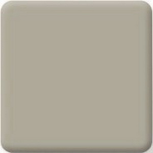 Elegant Gray 