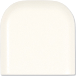 100 arctic white 