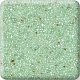 Tarragon 