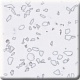 QD212 Dalmatian 